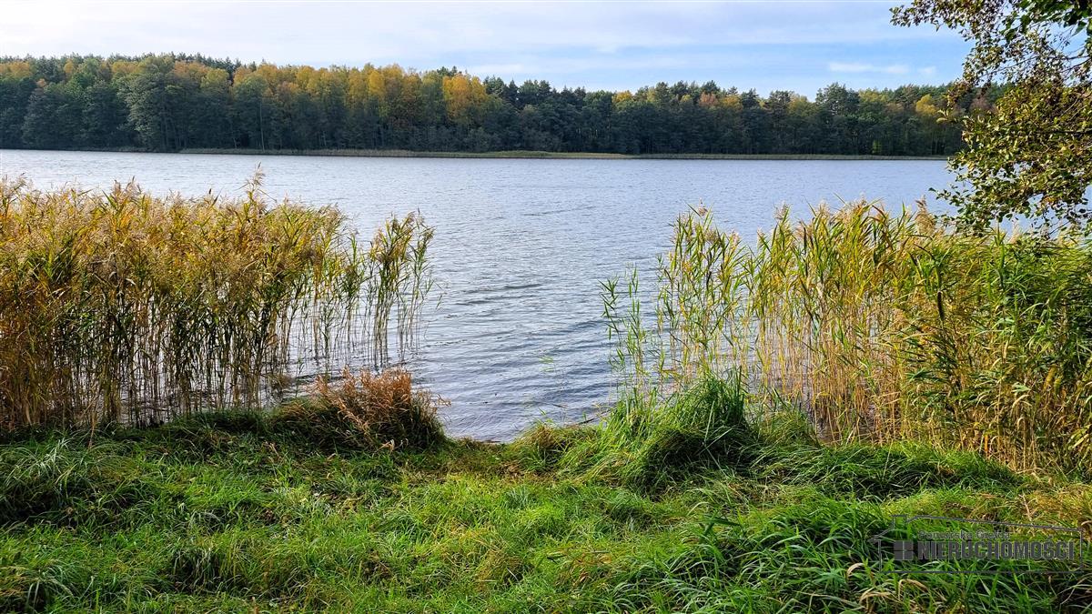 Sprzedaż Dom wolnostojący Dołgie