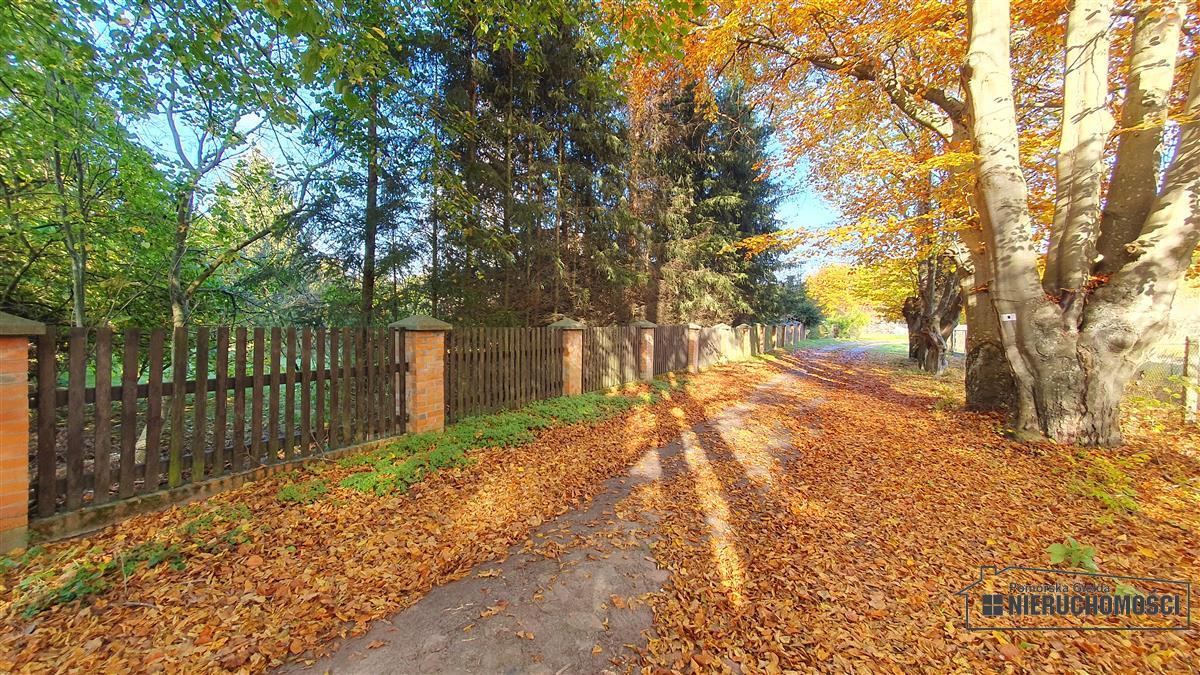Sprzedaż Dom wolnostojący Łączno