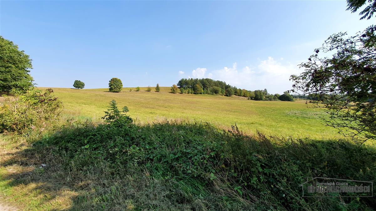 Sprzedaż Działka rolna Borne