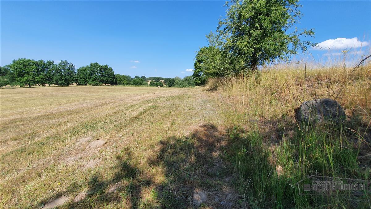 Sprzedaż Działka rolna Borne