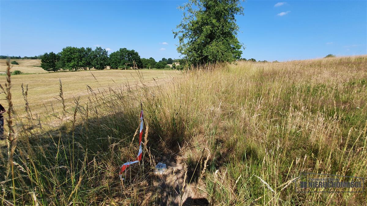 Sprzedaż Działka rolna Borne