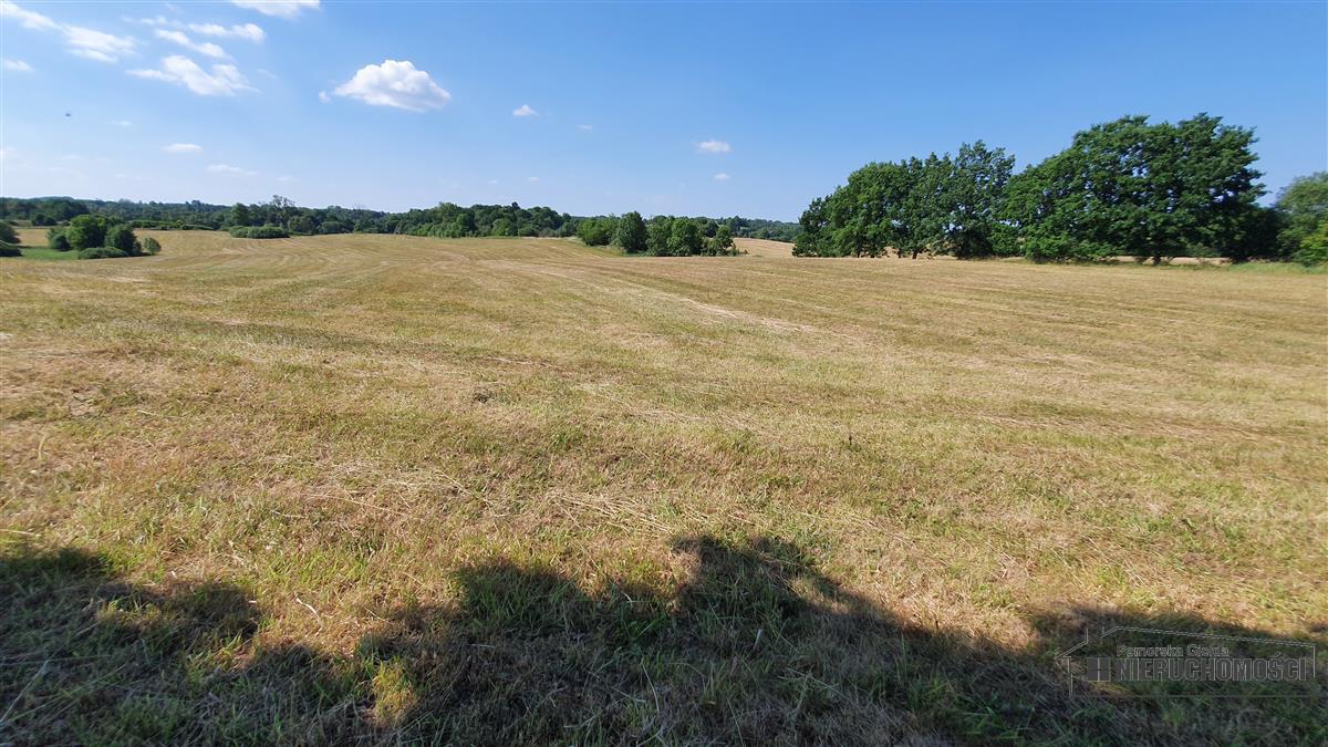 Sprzedaż Działka rolna Borne