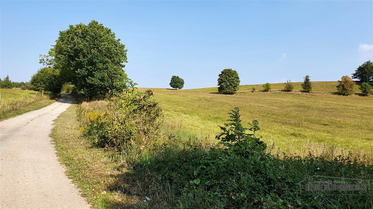Sprzedaż Działka rolna Borne
