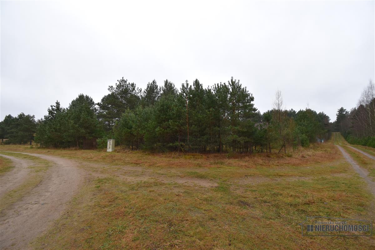 Sprzedaż Działka budowlana Dołgie