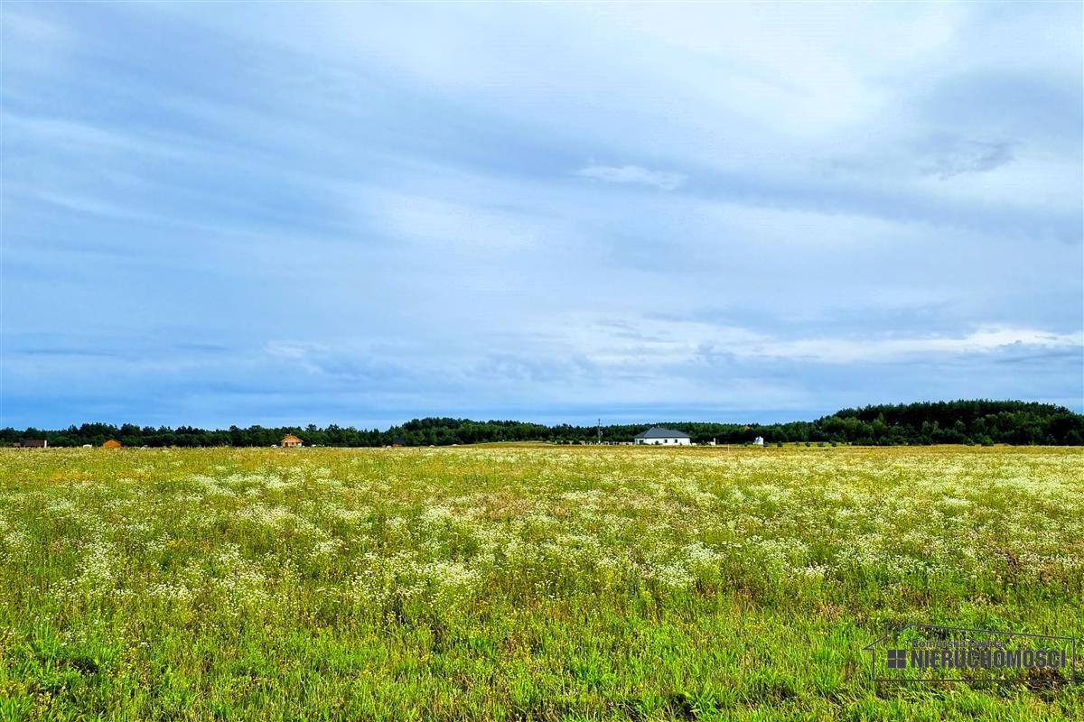 Sprzedaż Działka budowlana Dołgie