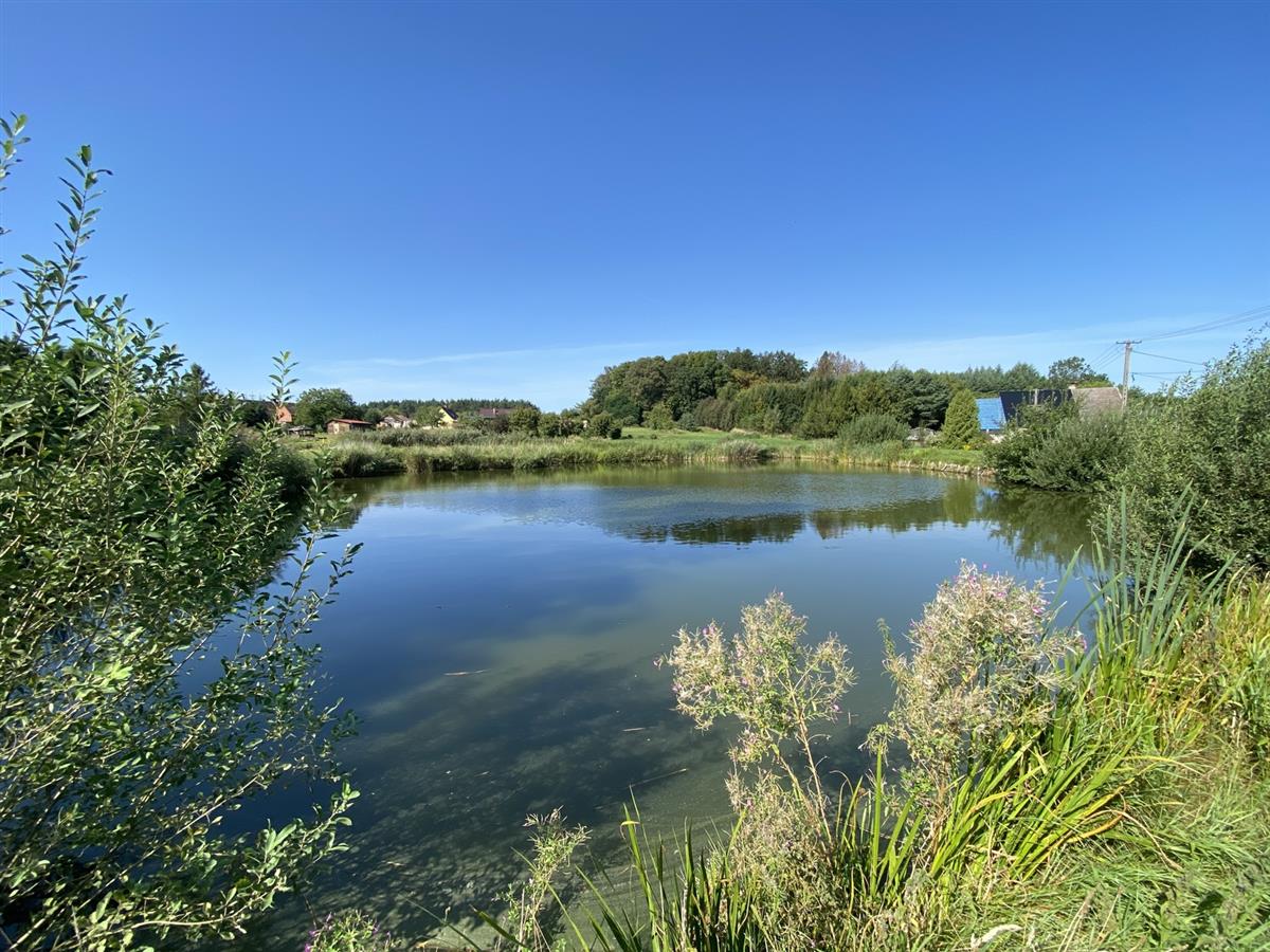 Sprzedaż Działka Kołacz