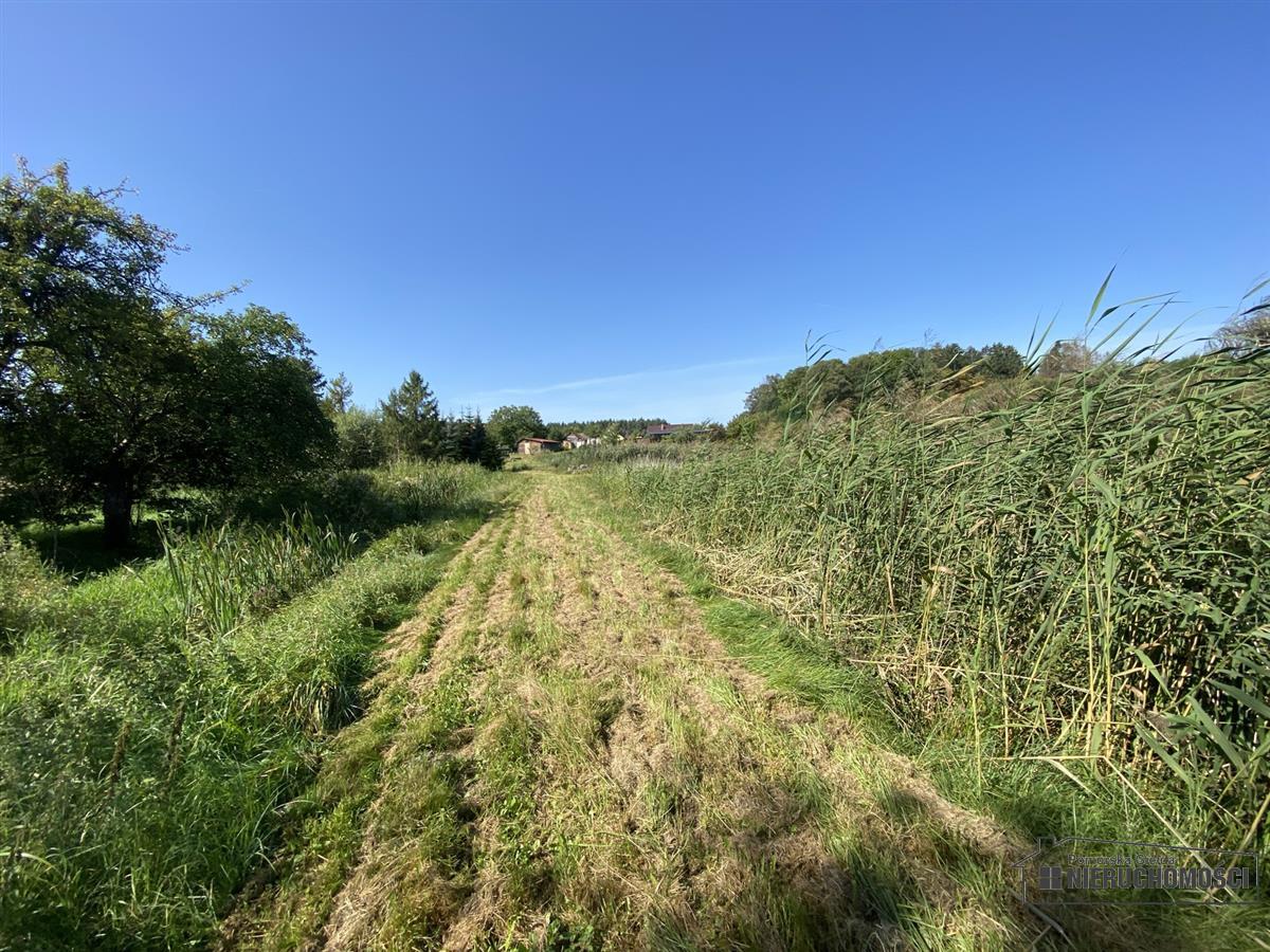 Sprzedaż Działka Kołacz