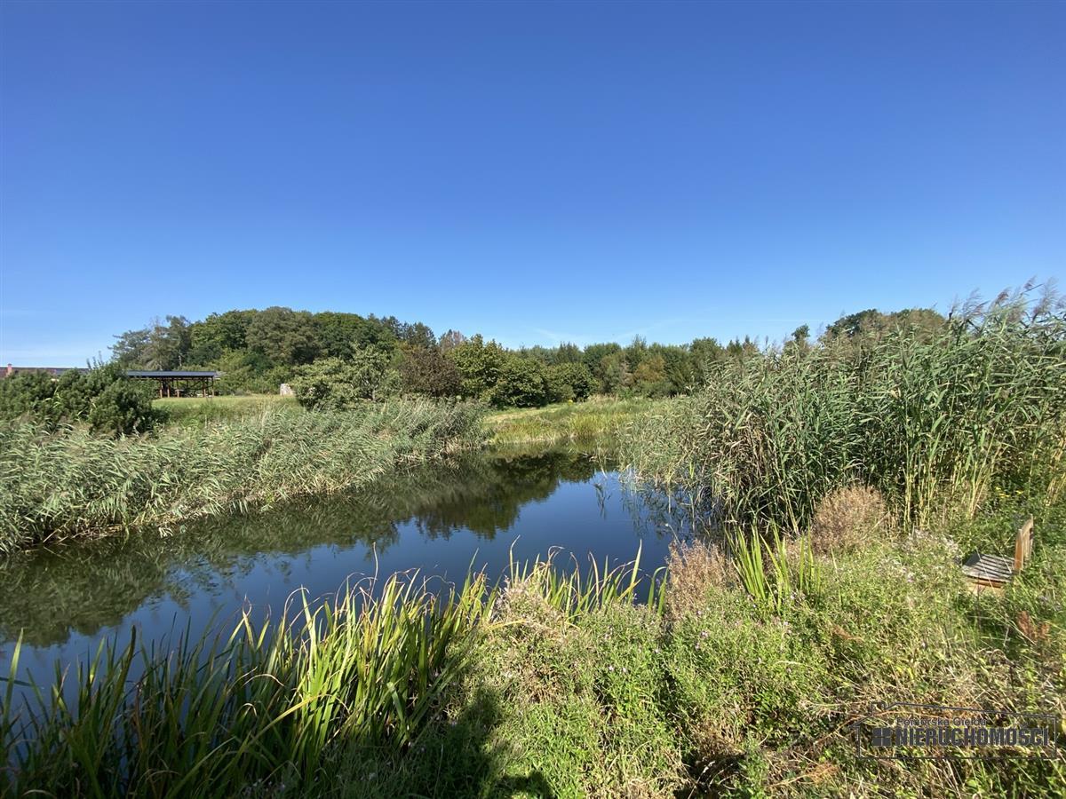 Sprzedaż Działka Kołacz