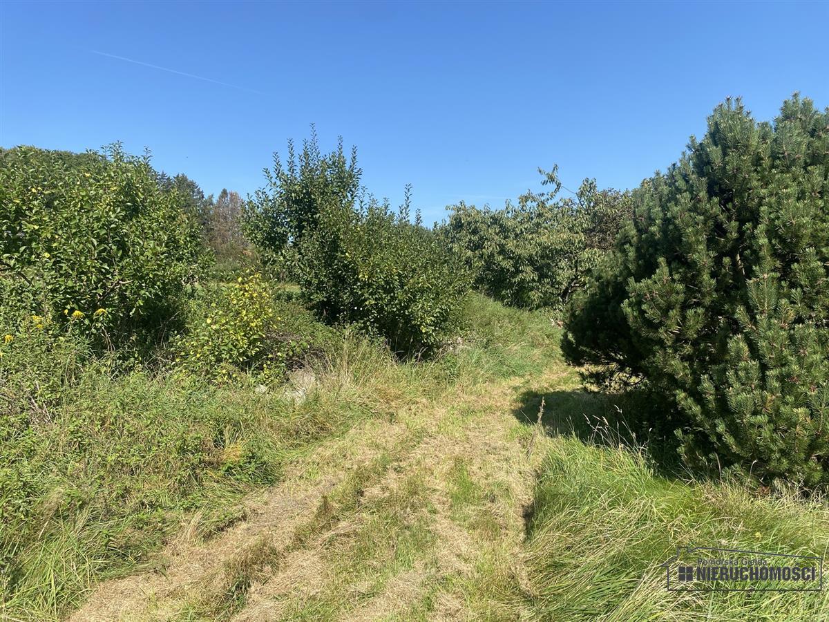 Sprzedaż Działka Kołacz