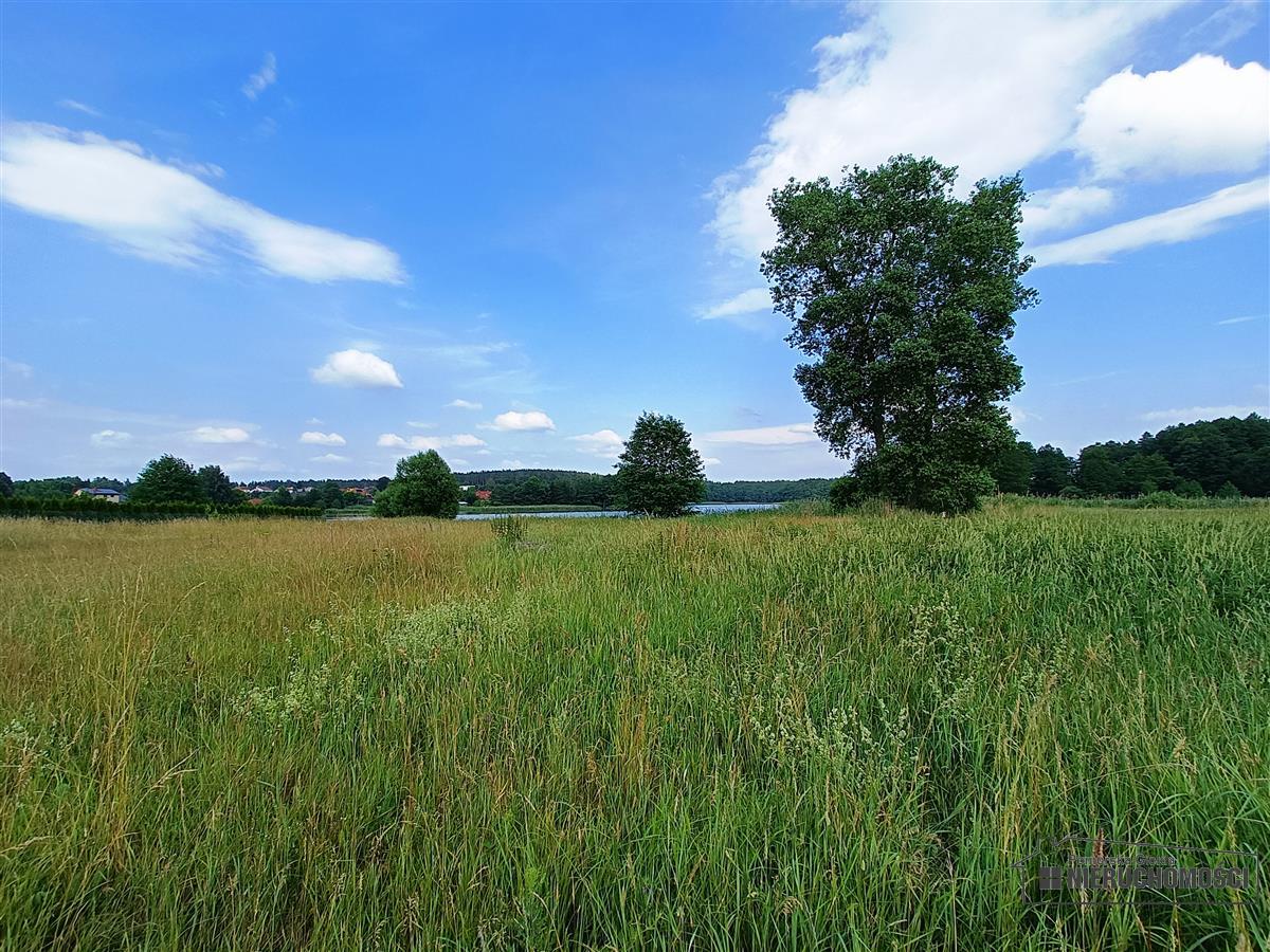 Widok na działkę. 