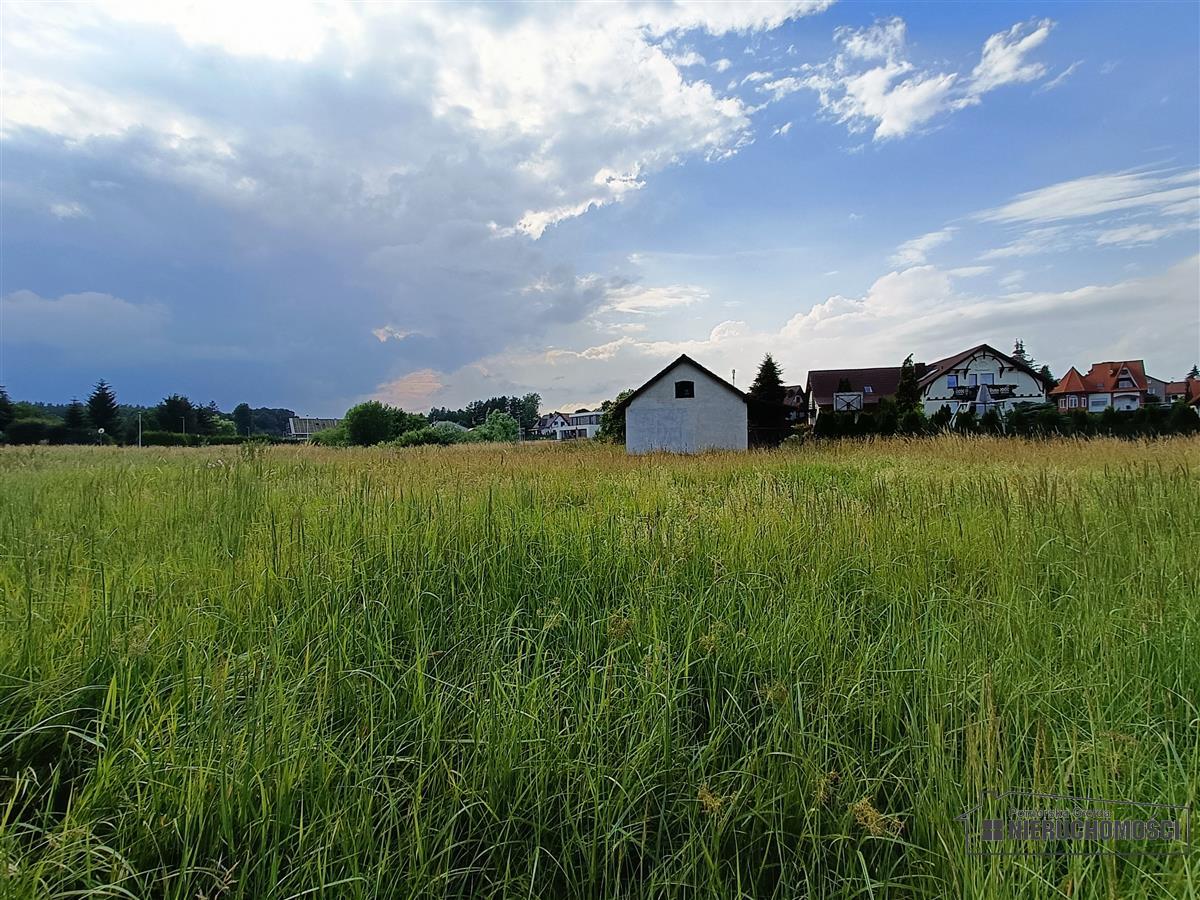 Widok na działkę. 