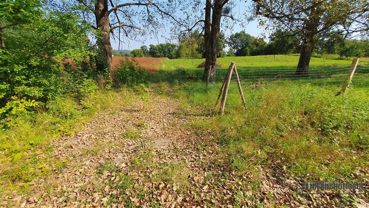 Sprzedaż Działka budowlana Głodowa