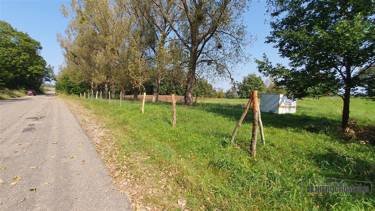 Sprzedaż Działka budowlana Głodowa