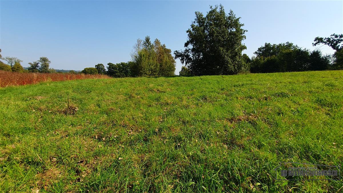 Sprzedaż Działka budowlana Głodowa