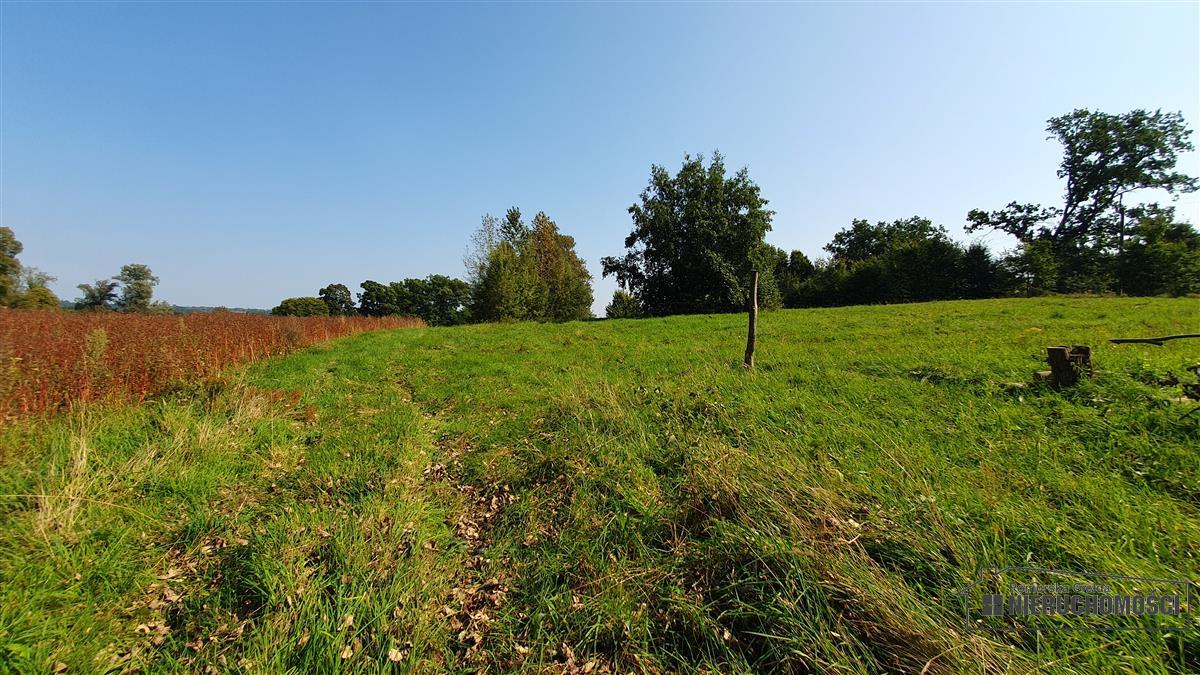 Sprzedaż Działka budowlana Głodowa