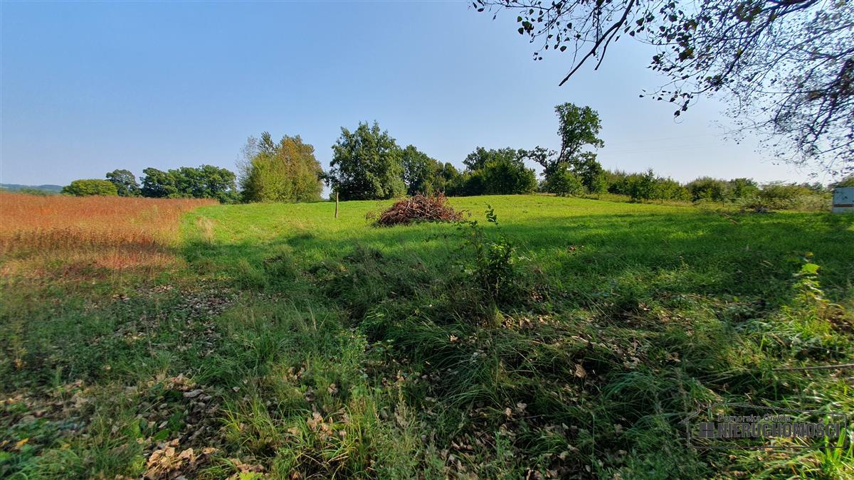 Sprzedaż Działka budowlana Głodowa