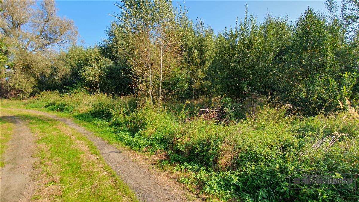 Sprzedaż Działka budowlana Skoczów