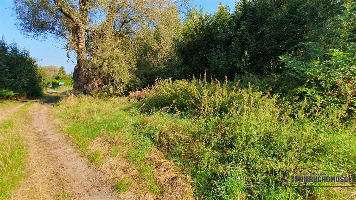 Sprzedaż Działka budowlana Skoczów