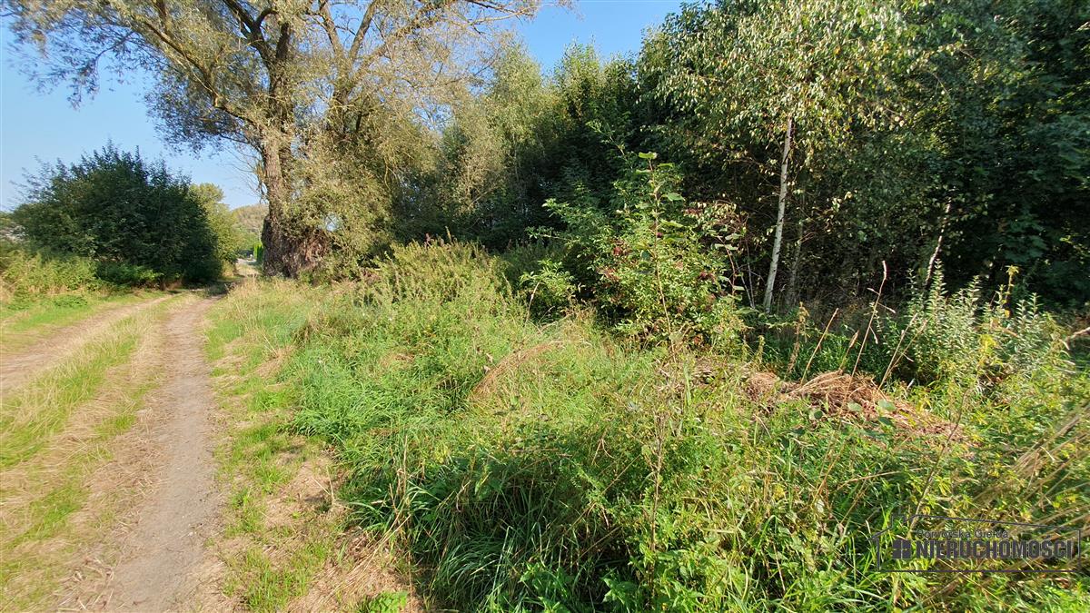 Sprzedaż Działka budowlana Skoczów