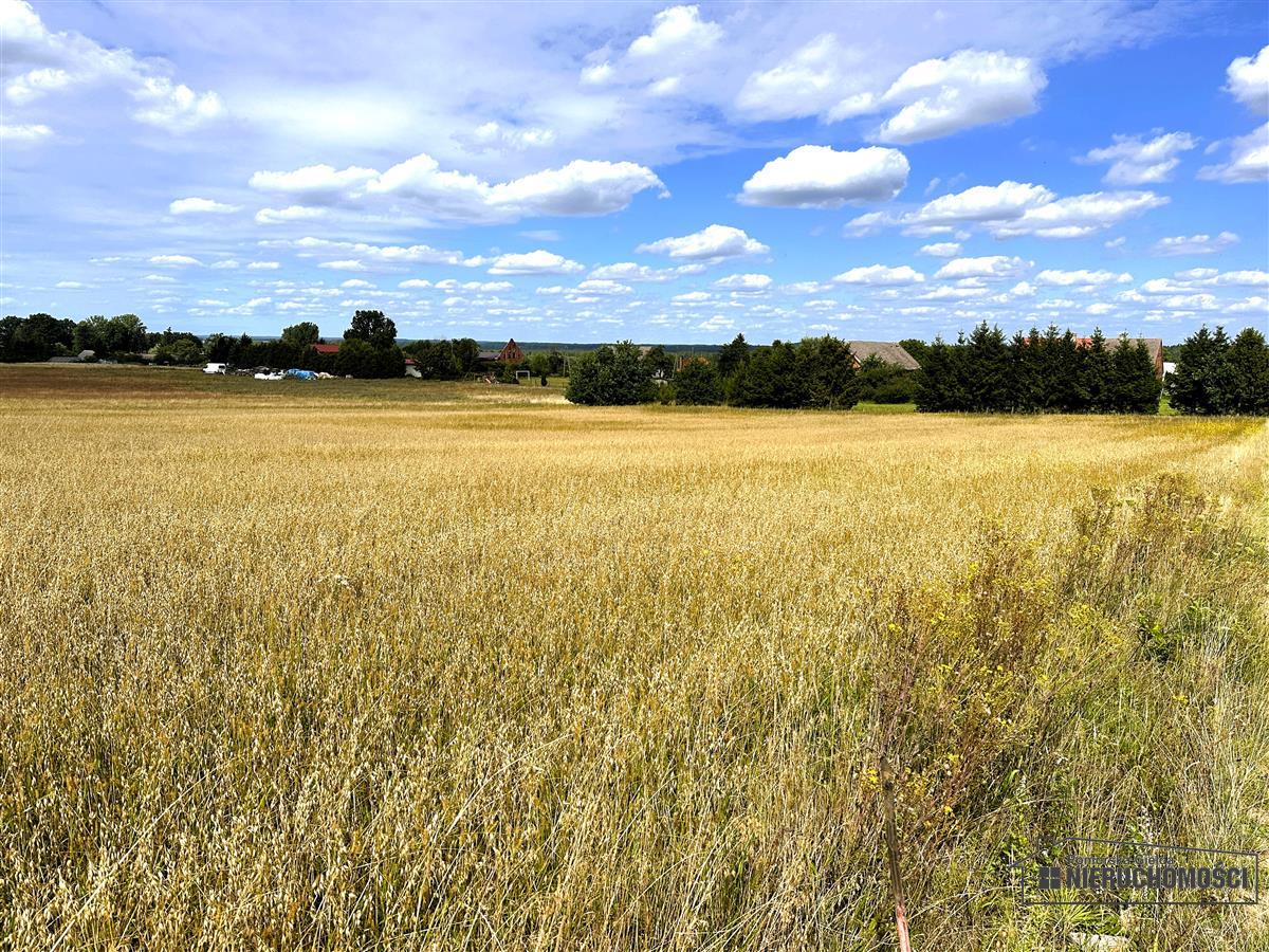 Sprzedaż Działka budowlana Nowy Chwalim