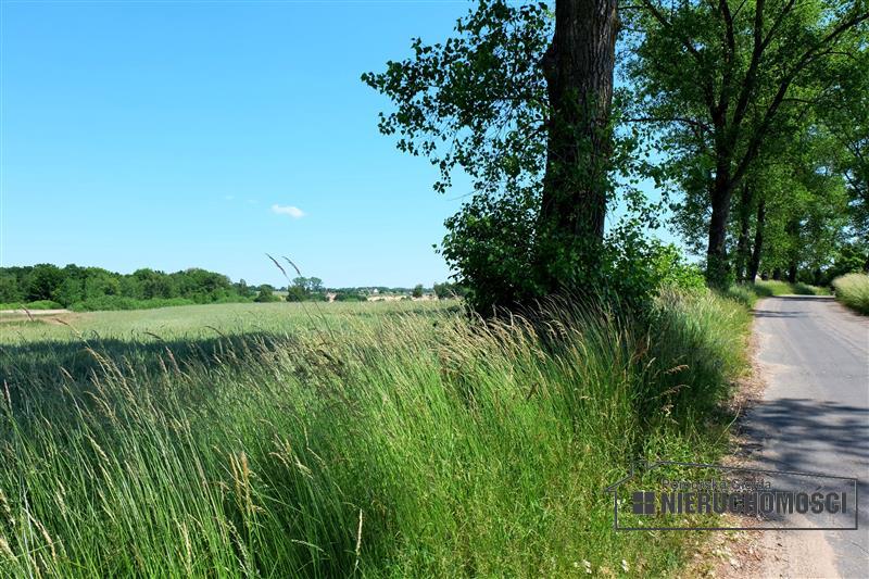 Sprzedaż Działka budowlana Świecie Kołobrzeskie