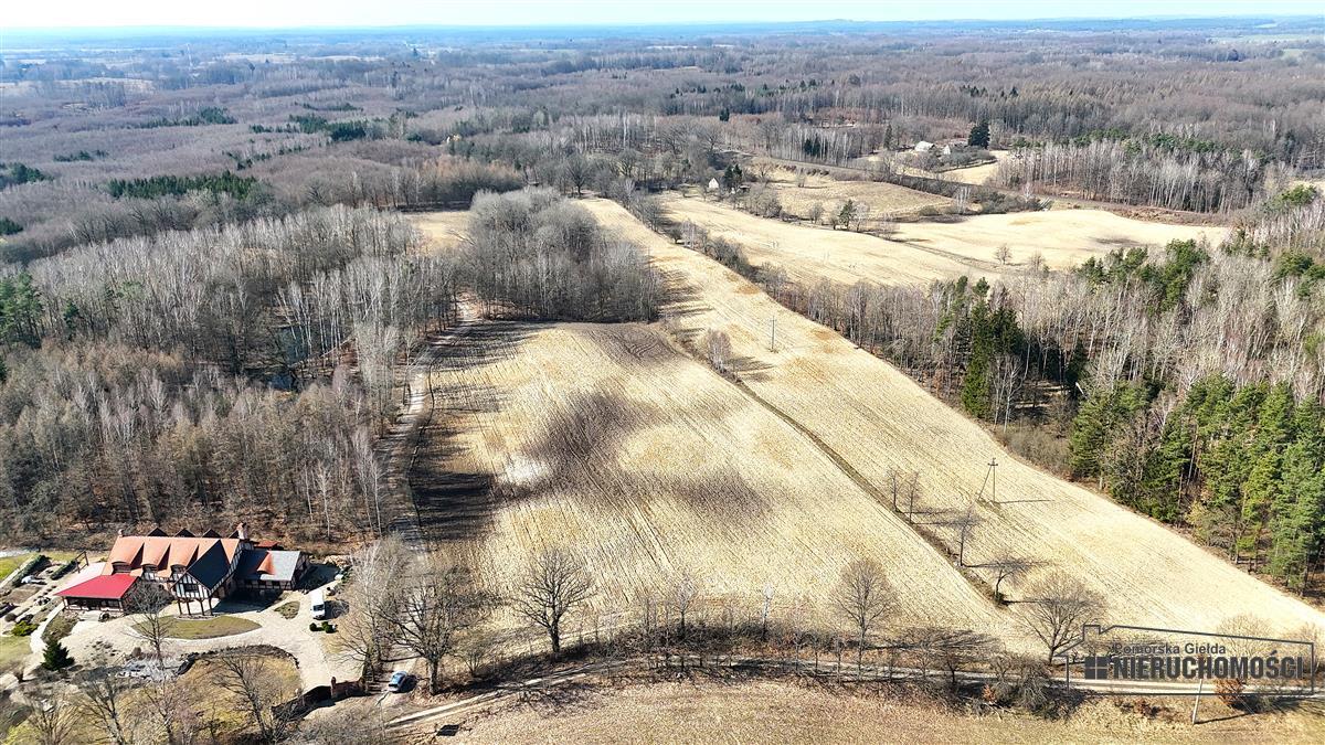 Sprzedaż Działka siedliskowa Łączno