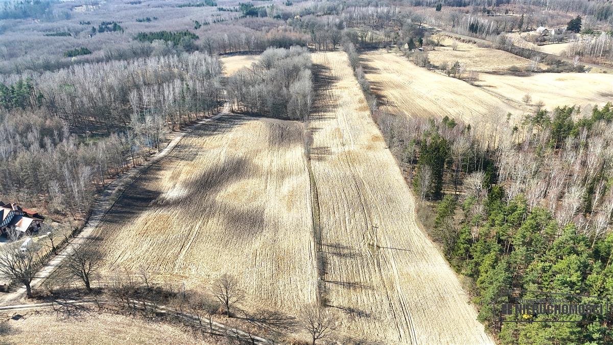 Sprzedaż Działka siedliskowa Łączno