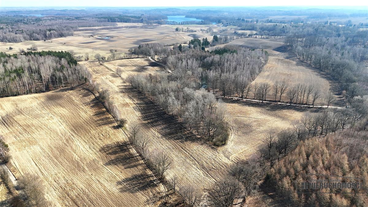 Sprzedaż Działka siedliskowa Łączno