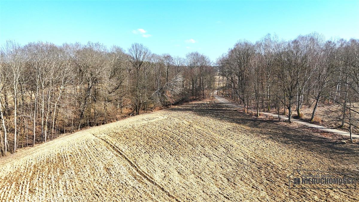 Sprzedaż Działka siedliskowa Łączno