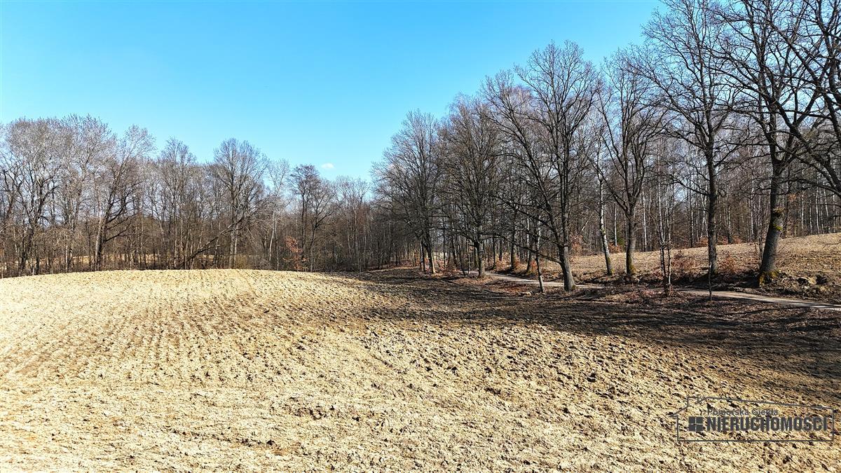 Sprzedaż Działka siedliskowa Łączno