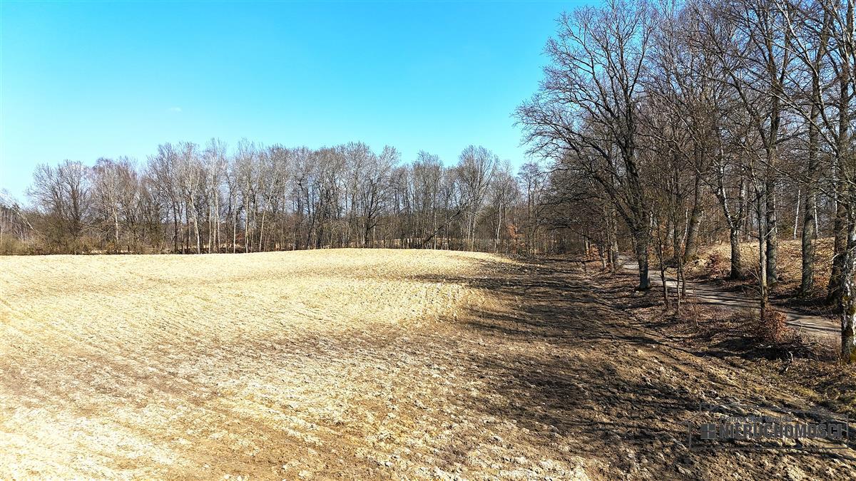 Sprzedaż Działka siedliskowa Łączno