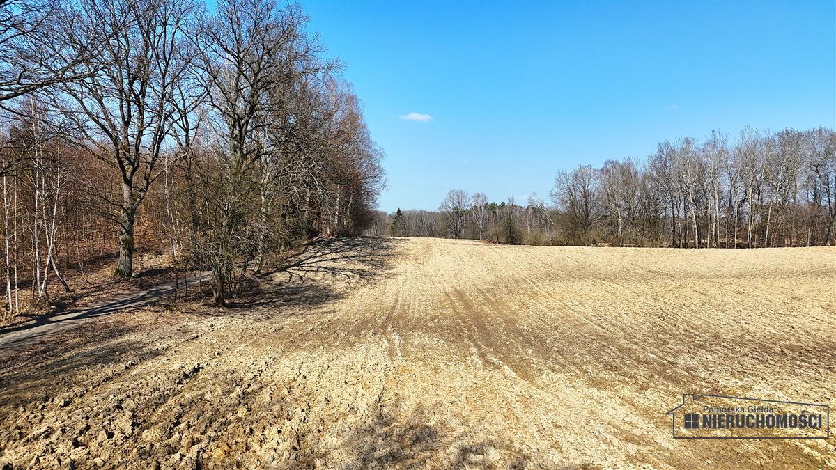 Sprzedaż Działka siedliskowa Łączno