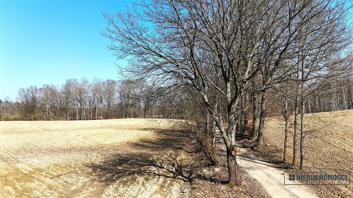 Sprzedaż Działka siedliskowa Łączno