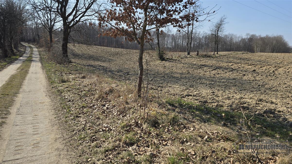 Sprzedaż Działka siedliskowa Łączno