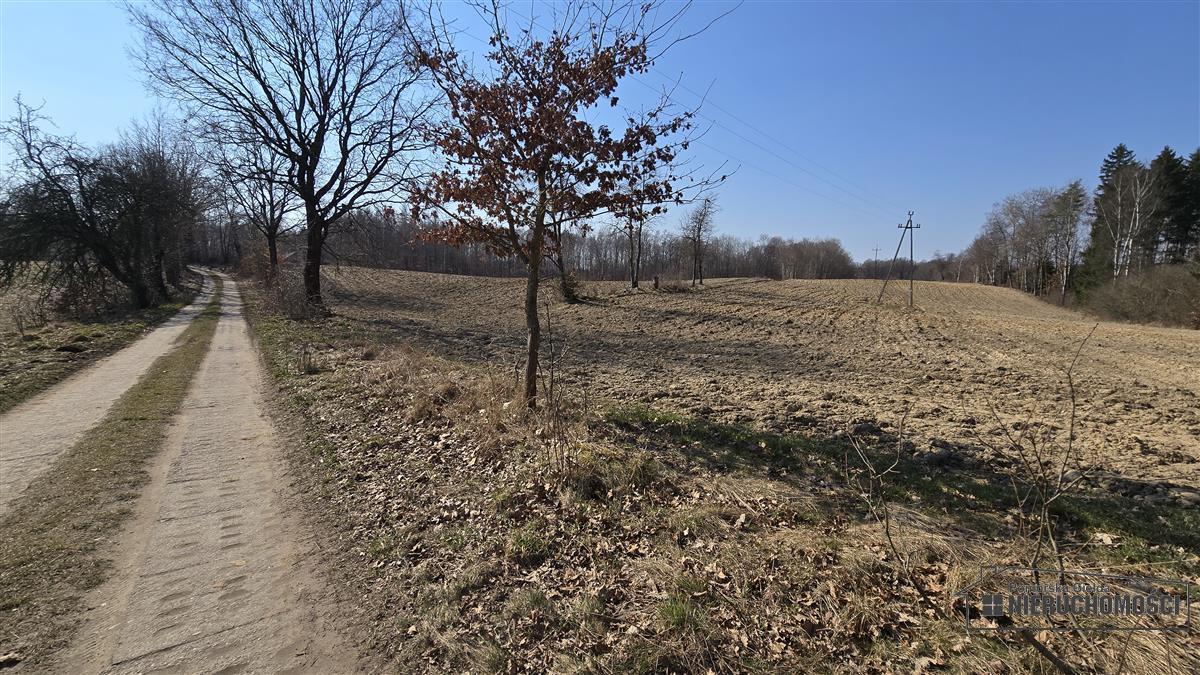 Sprzedaż Działka siedliskowa Łączno