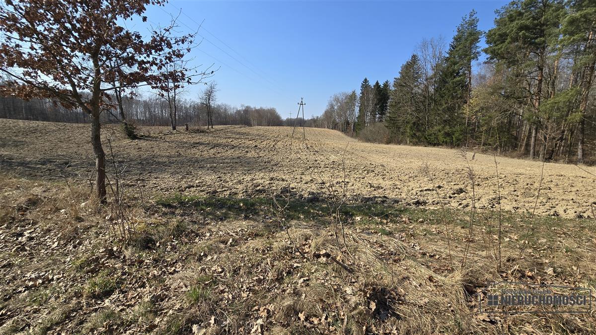 Sprzedaż Działka siedliskowa Łączno