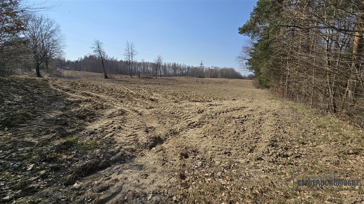 Sprzedaż Działka siedliskowa Łączno