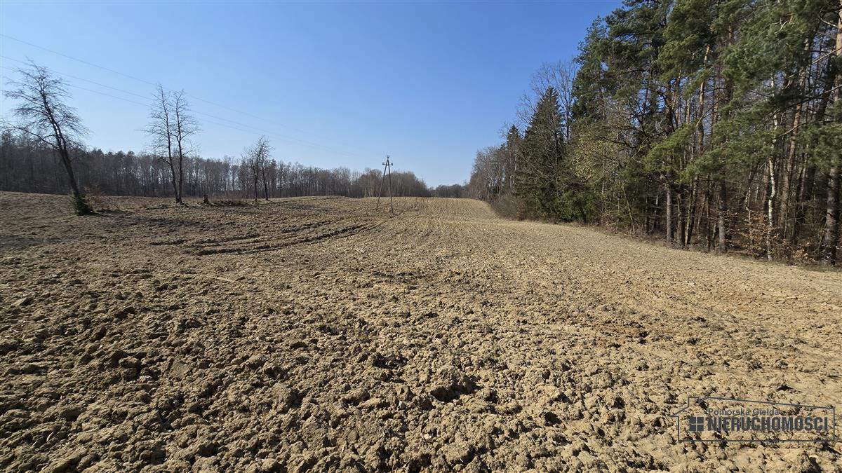 Sprzedaż Działka siedliskowa Łączno