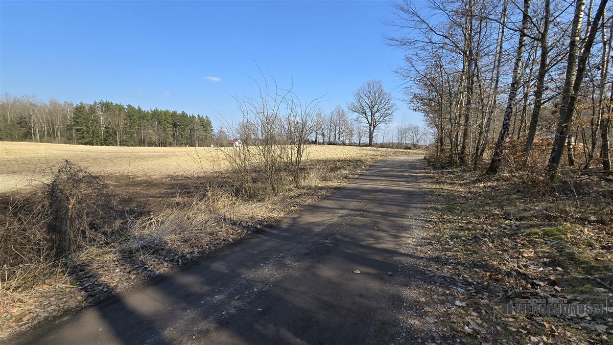 Sprzedaż Działka siedliskowa Łączno