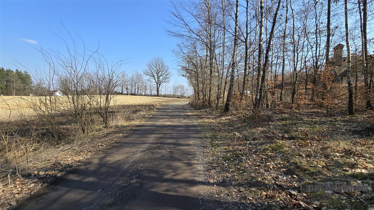 Sprzedaż Działka siedliskowa Łączno