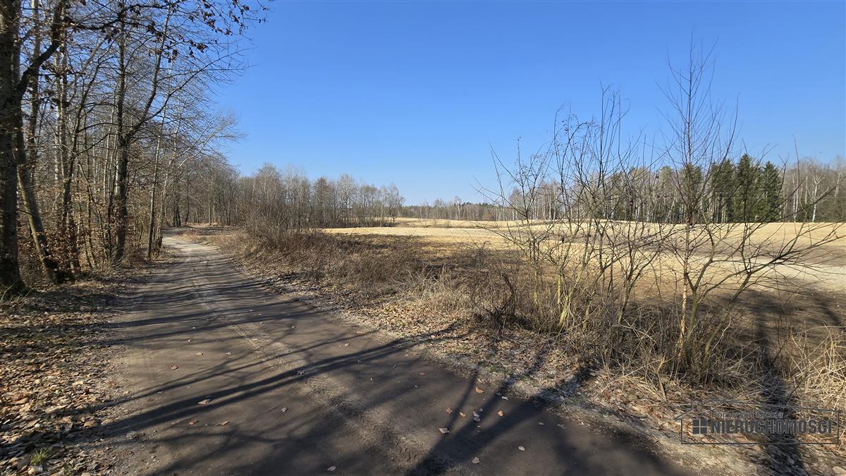 Sprzedaż Działka siedliskowa Łączno