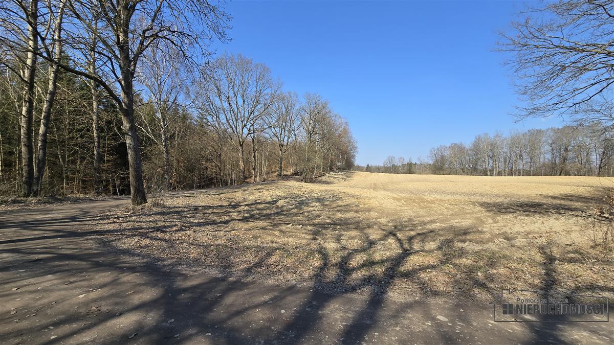 Sprzedaż Działka siedliskowa Łączno