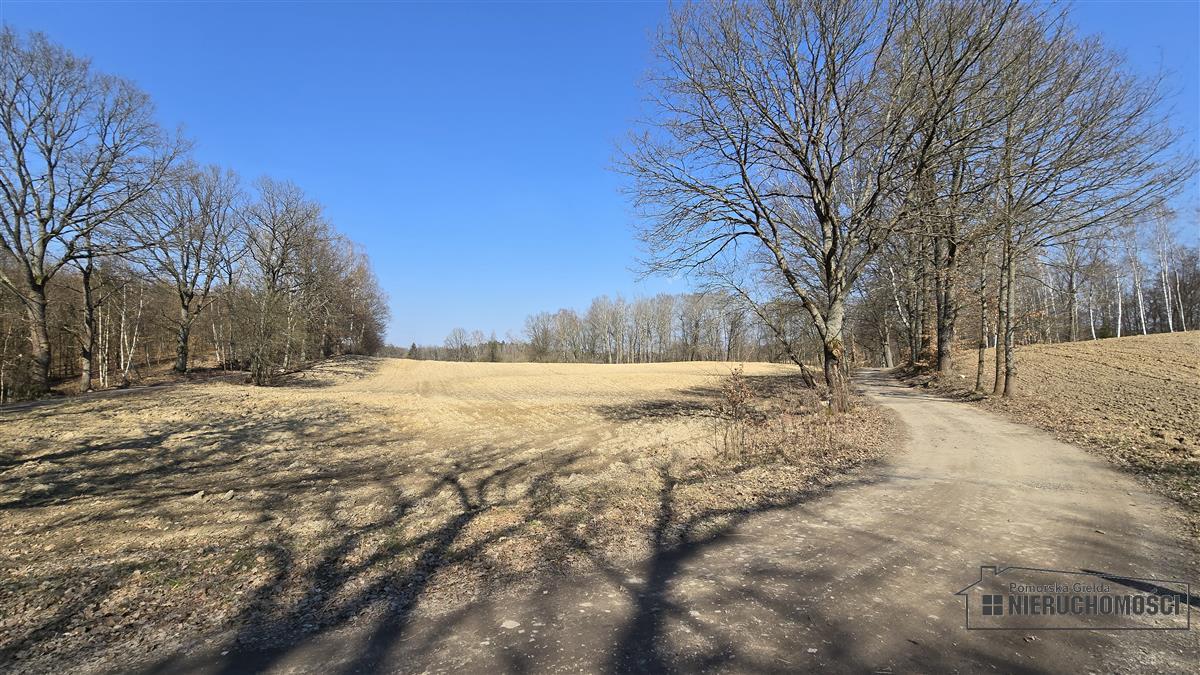 Sprzedaż Działka siedliskowa Łączno