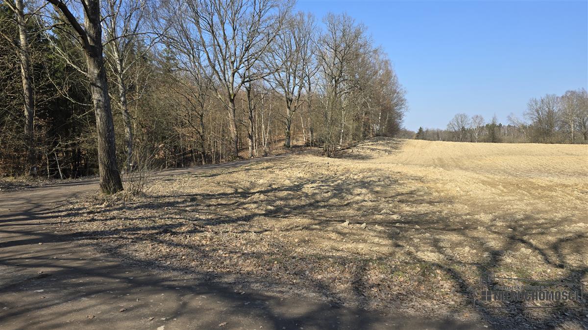 Sprzedaż Działka siedliskowa Łączno