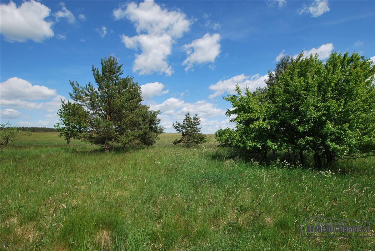 Sprzedaż Działka budowlana Dołgie