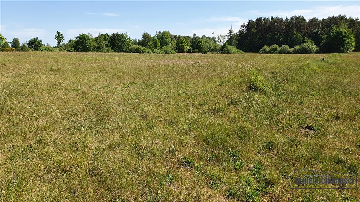 Sprzedaż Działka budowlana Kościernica