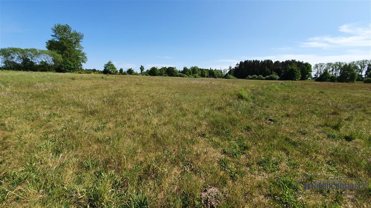 Sprzedaż Działka budowlana Kościernica