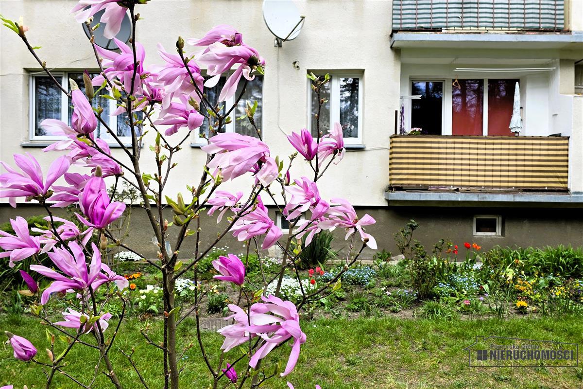 Sprzedaż Mieszkanie Borne Sulinowo