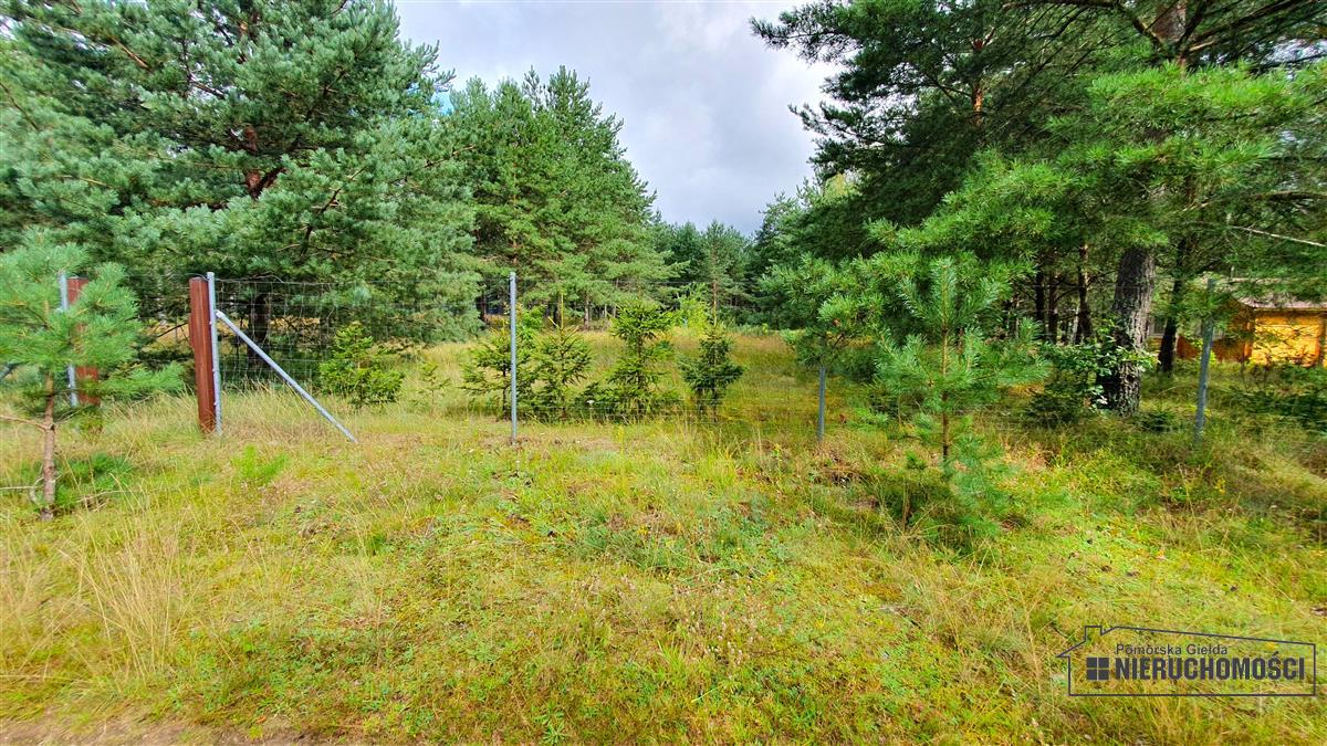 Sprzedaż Działka budowlana Trzmielewo