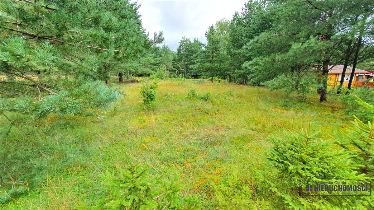 Sprzedaż Działka budowlana Trzmielewo